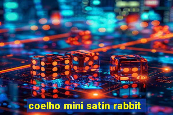 coelho mini satin rabbit